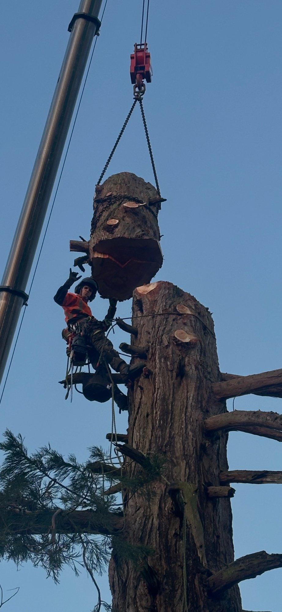 Edward Johnson-Ferguson